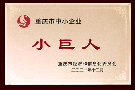 2021年【重慶】專精特新“小巨人”企業(yè)